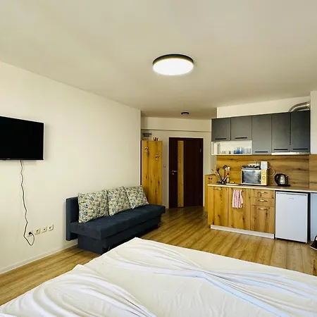 Royal Palm 84 * 圣弗拉斯