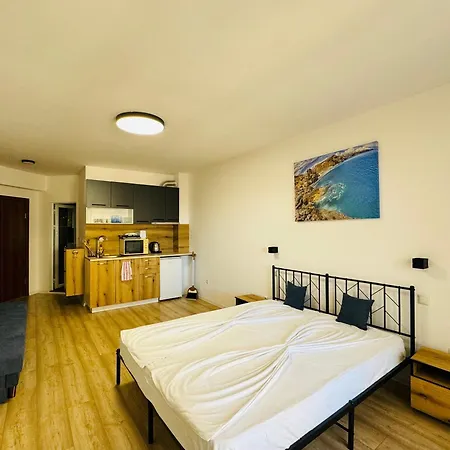 Royal Palm 84 圣弗拉斯