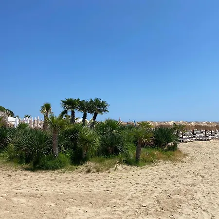 公寓 Royal Palm 84 圣弗拉斯