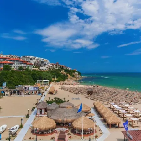 Royal Palm 84 Sweti Wlas