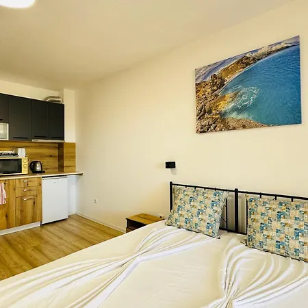 Royal Palm 84 Sweti Wlas